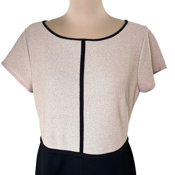 Ann Taylor Factory Dress Size 12 Short Sleeve Knee Length Black Cream Casual - Picture 3 of 8